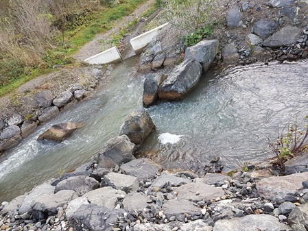 Fischtreppe an der Staustufe 6