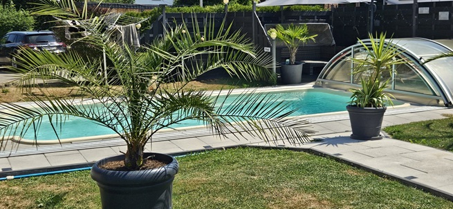 Salzwasserpool mit Gegenstromanlage